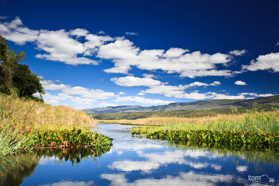 Pantanal de Marimbus